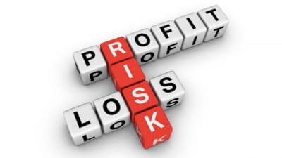 risk profit