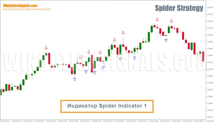 индикатор для бинарных опционов Spider Indicator 1